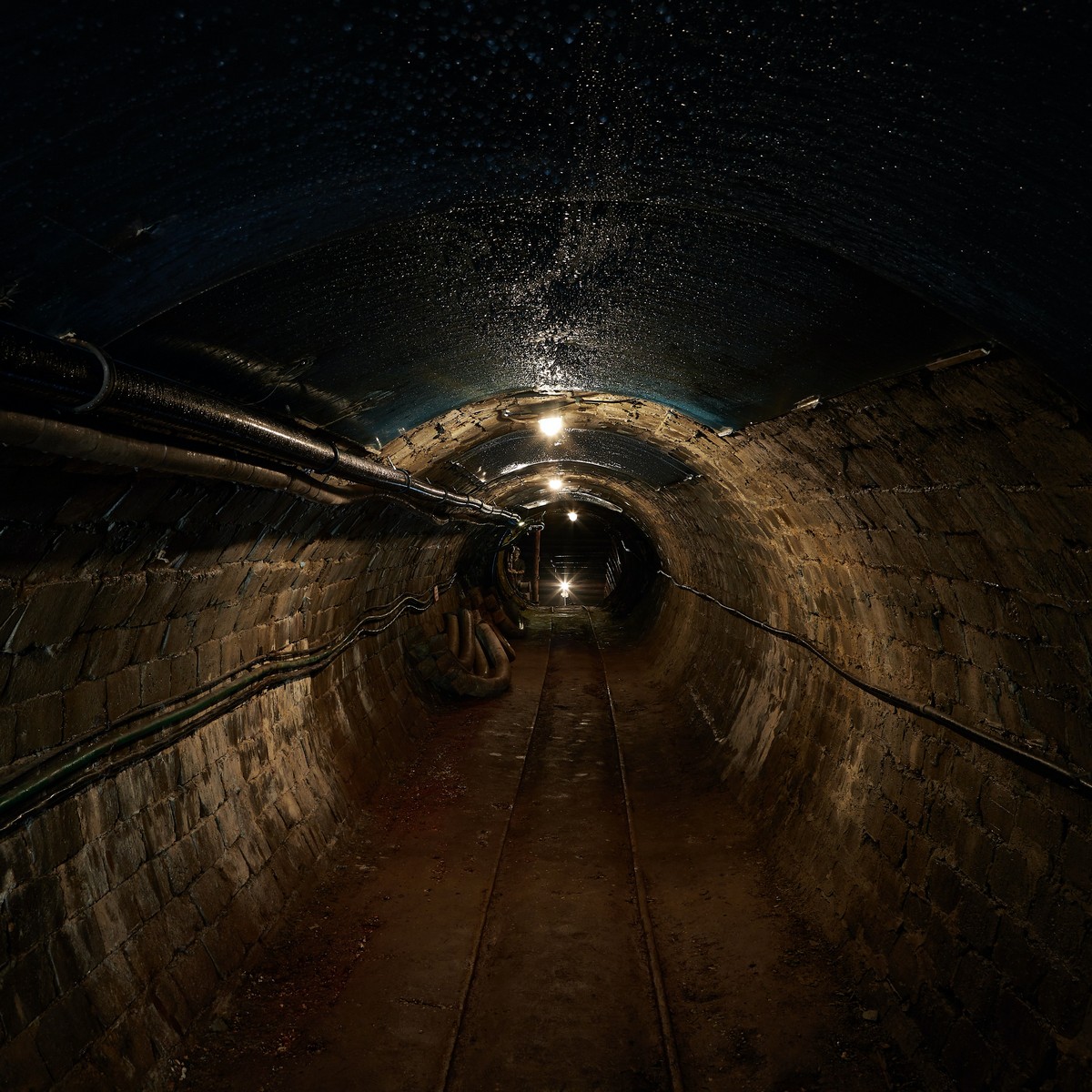 martin-brechtl-S02FHccCSdA-unsplash