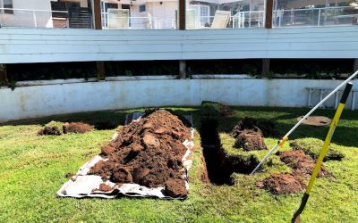 Maintaining Your Septic Drain Field: The Key to Longevity in San Diego
