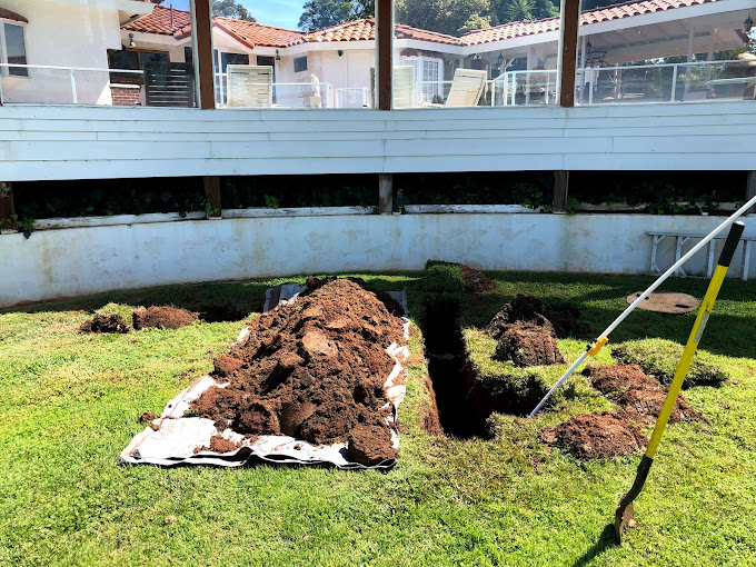 Maintaining Your Septic Drain Field: The Key to Longevity in San Diego