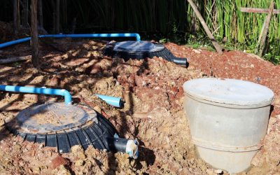 What Happens When a Septic System Fails?